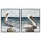 Stupell Industries Beachfront Pelican Log 2 pc Framed Giclee Wall Art Set Design by Julie DeRice